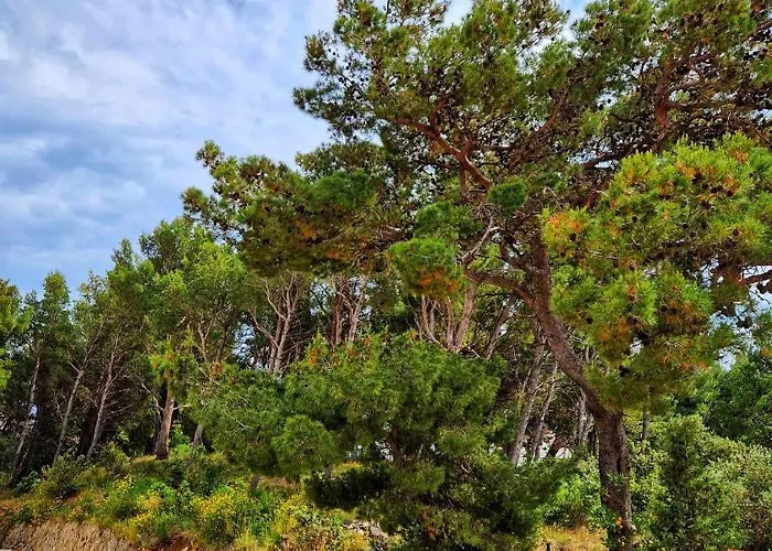 Mar18 - With Private Garage Apartmán Makarská