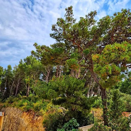 Mar18 - With Private Garage Apartman Makarska